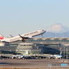 Haneda Airport＆JA318J