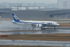 Haneda Airport＆JA821A
