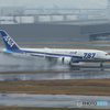 Haneda Airport＆JA821A