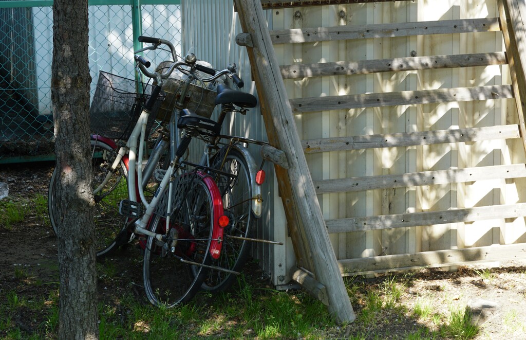 日陰の自転車