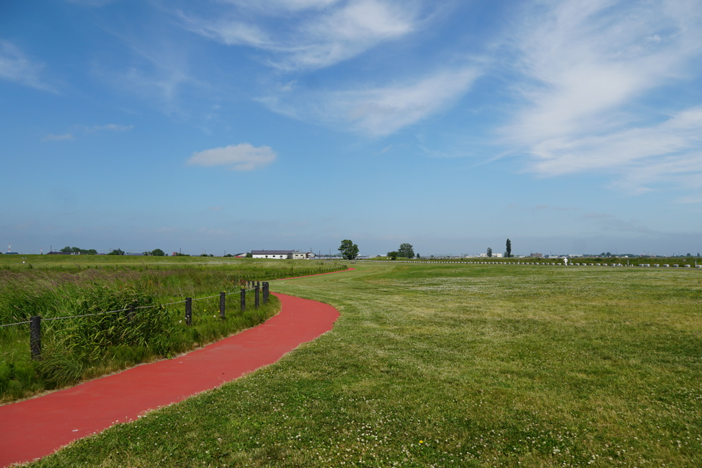 赤道小町♪