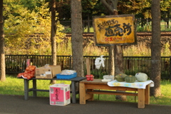 ラジオが店番