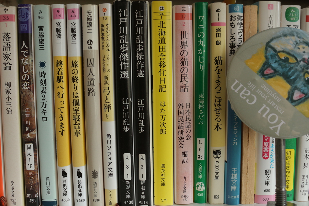 乱歩 上下2冊 江戸川乱歩生誕100年記念出版(新保博久・山前