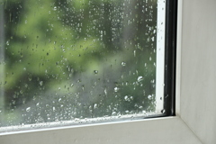 雨