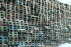 なぜ　キヤノンが　(ﾉﾟοﾟ)ﾉ ｵｵｵｵｫｫｫｫｫｫ-
