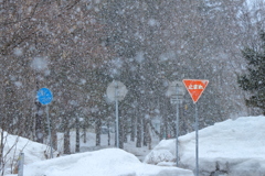 雪が～～～