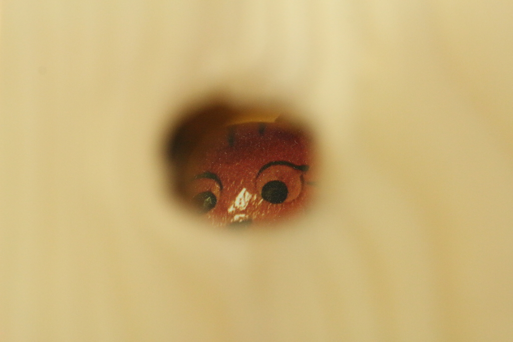 何してんかな～ =^_^=