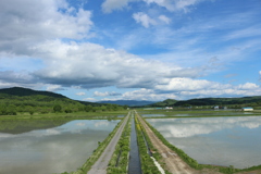 シンメトリーな田圃