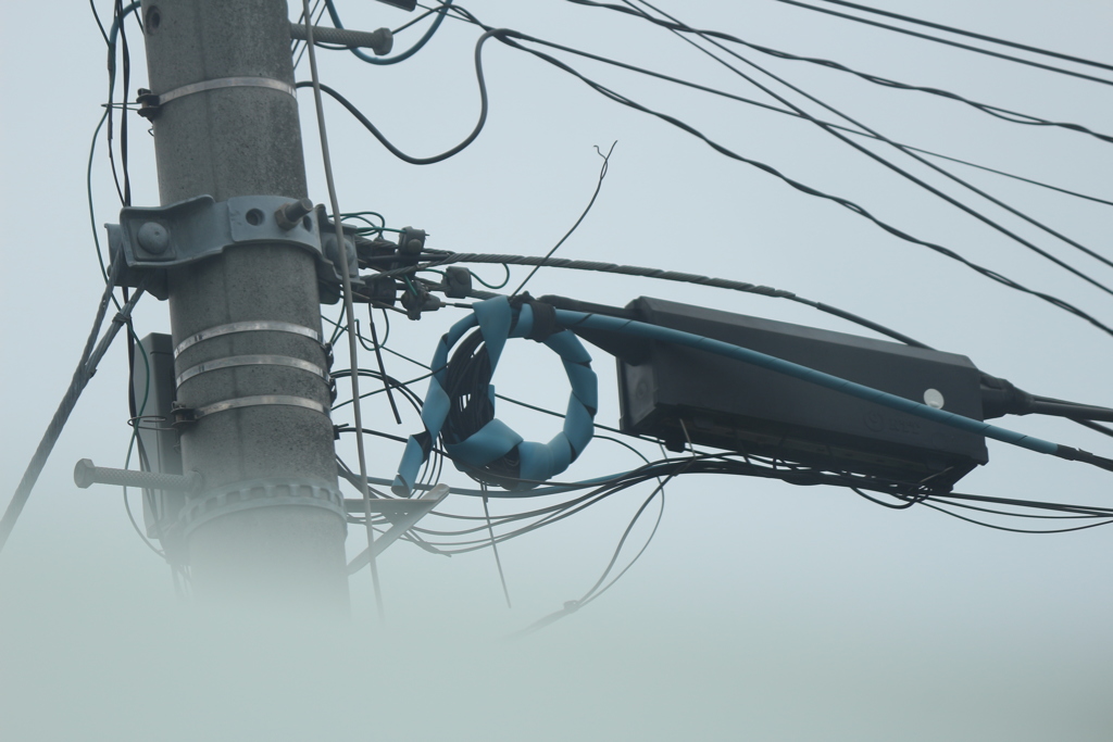電柱の見える風景