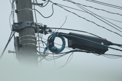 電柱の見える風景