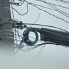 電柱の見える風景