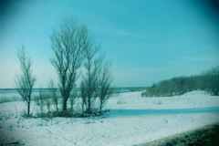 雪どけ