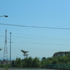 定点観測7月7日