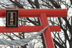 赤