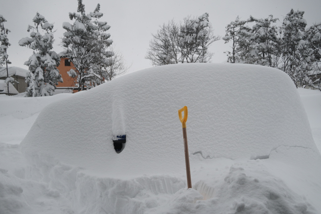 新雪
