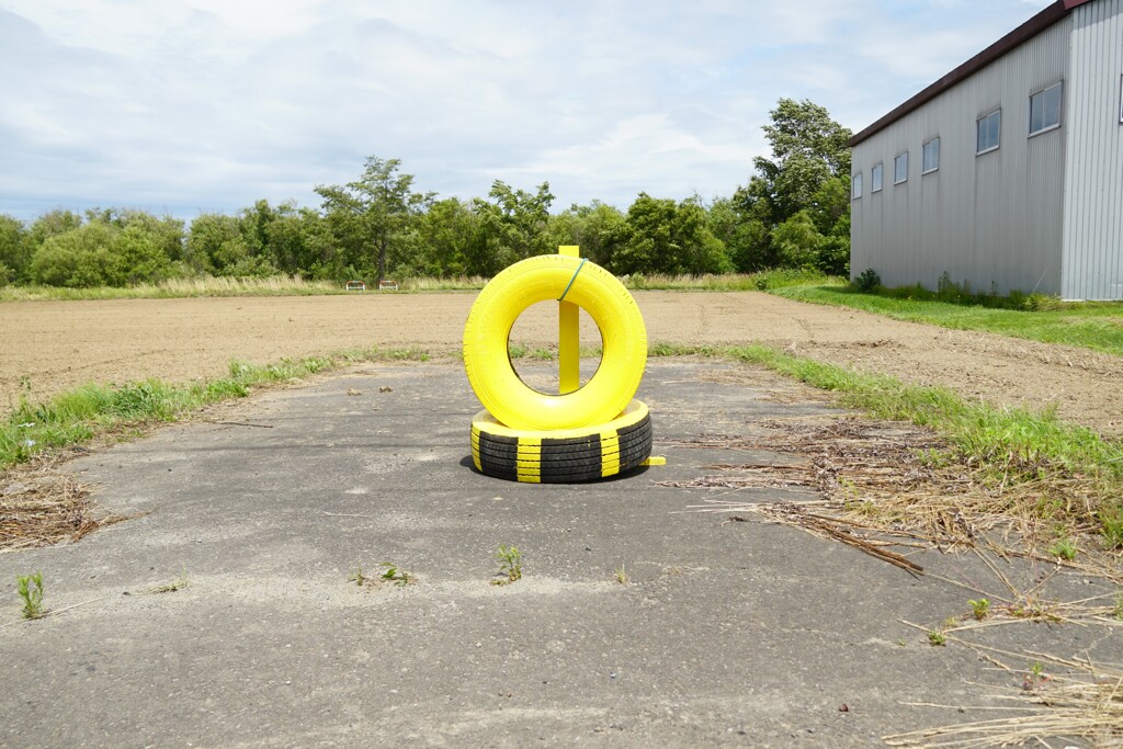 向日葵
