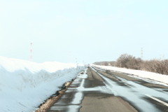 ちょっと　春を かんじて♪