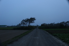 散策路