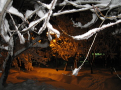 つもる雪