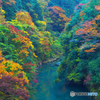 数馬峡橋から