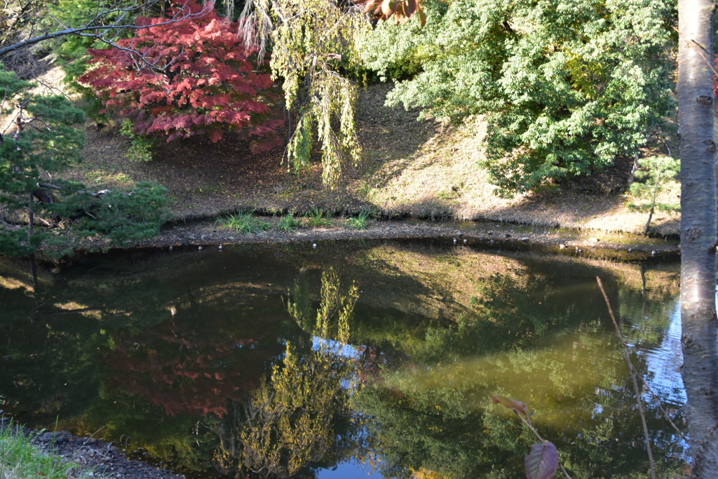 水に写る紅葉