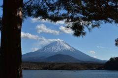 精進湖からの富士山