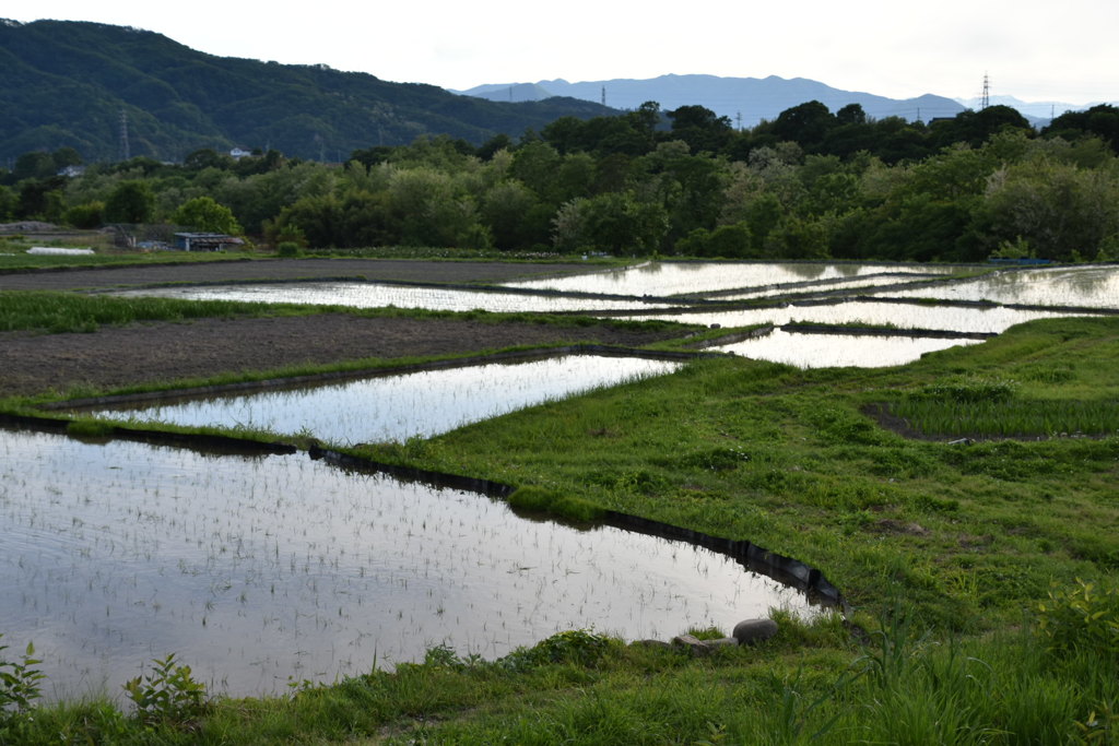 田舎の田園風景