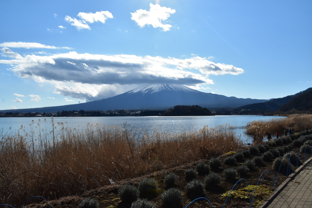 河口湖からの富士山