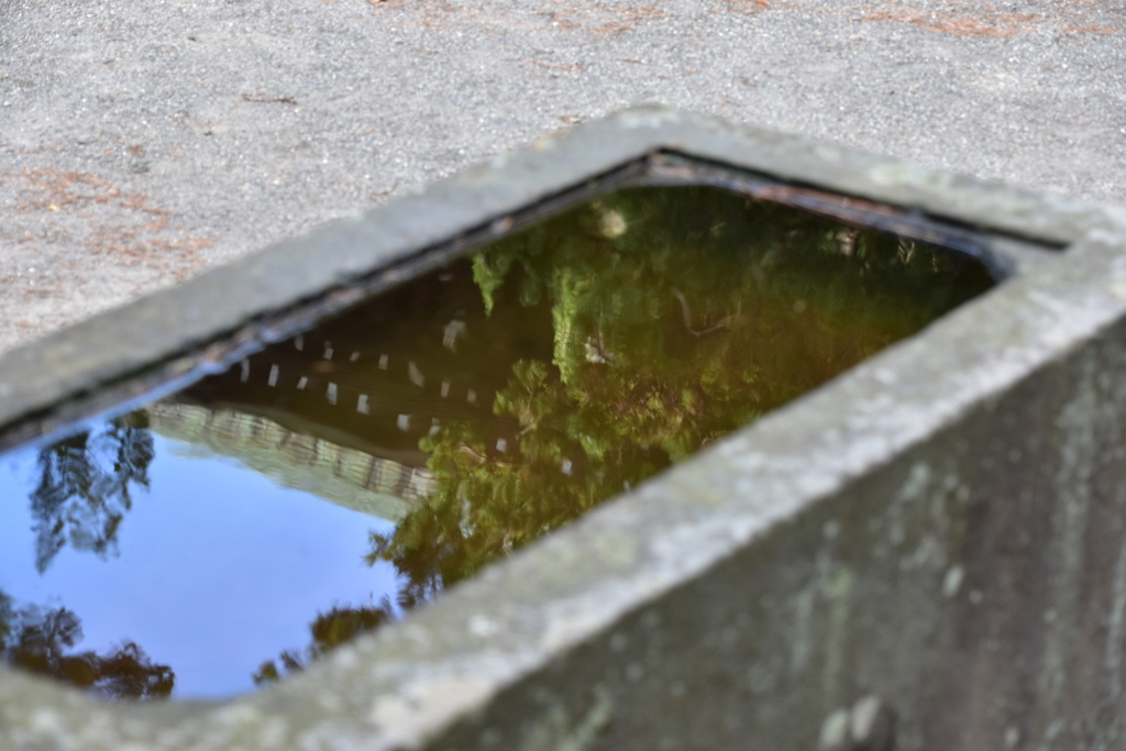 水に映るお寺