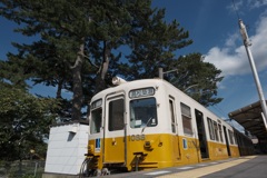 黄色めの電車