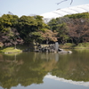 小石川後楽園と東京ドーム