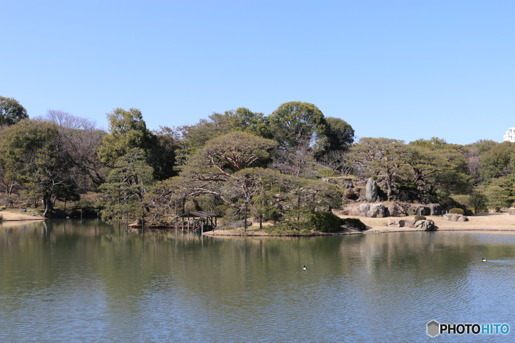 六義園中ノ島