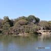 六義園中ノ島