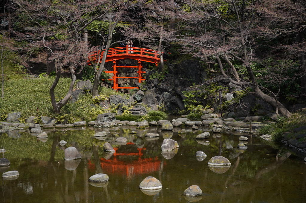 小石川後楽園  通天橋