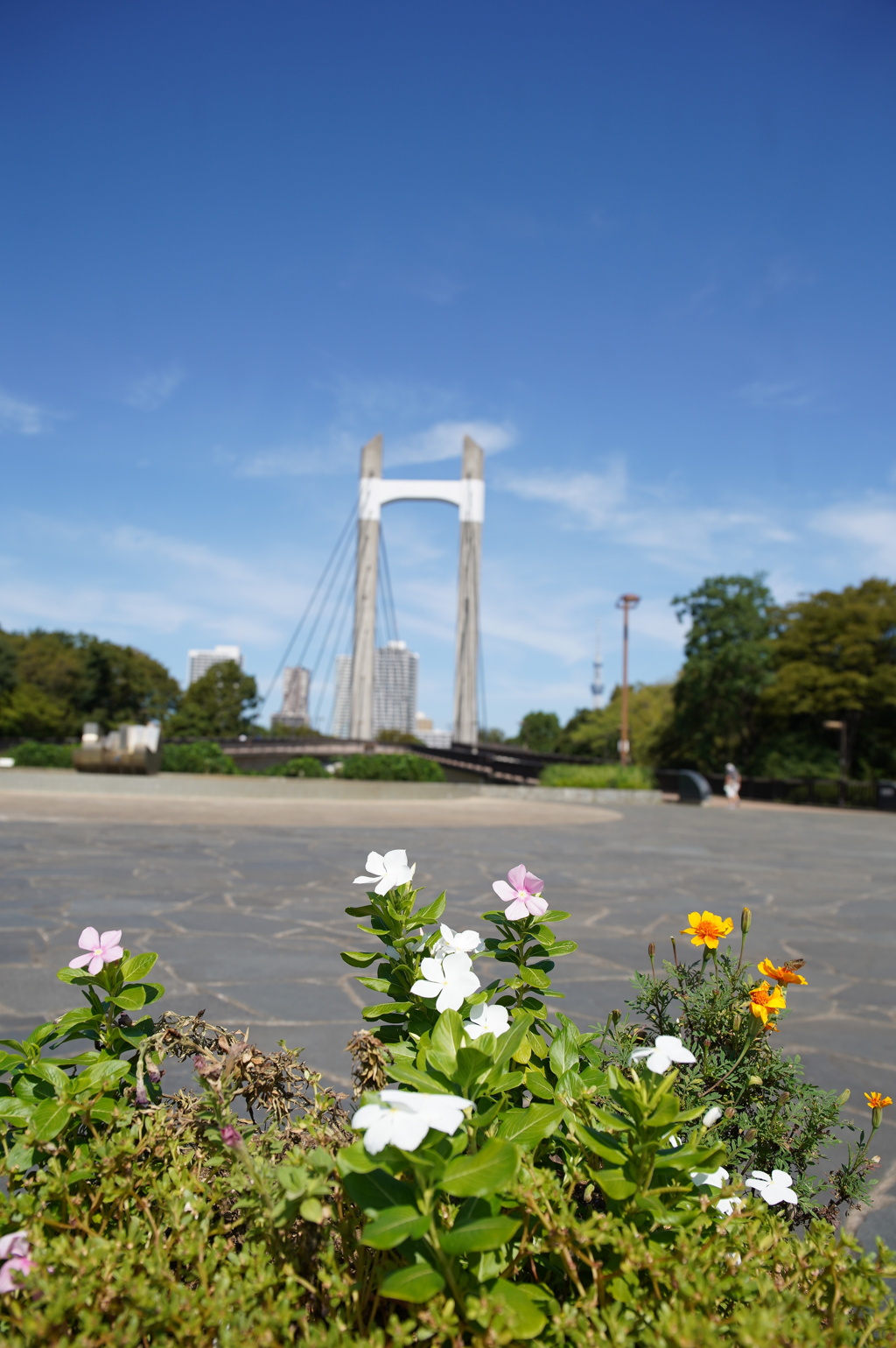 下町散策_木場公園