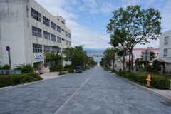 函館八幡坂
