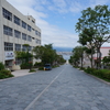函館八幡坂