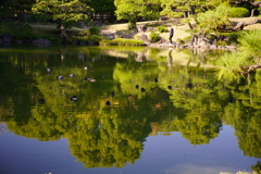 下町散策_清澄庭園