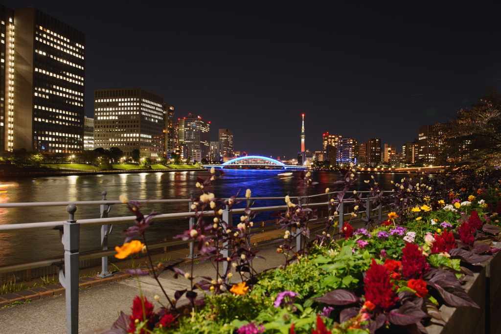 隅田川散策_夜景