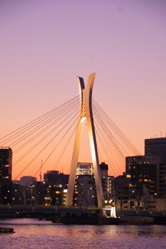 隅田川散策＿夕焼けと中央大橋