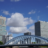 永代橋と雲と点のようなカモメ