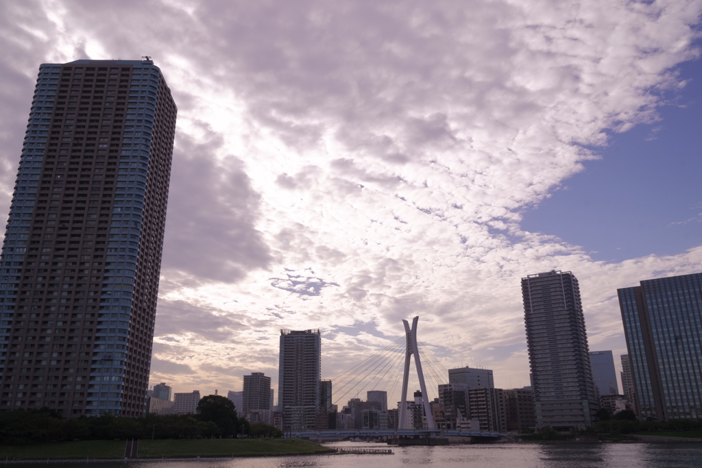 隅田川散策＿秋雲