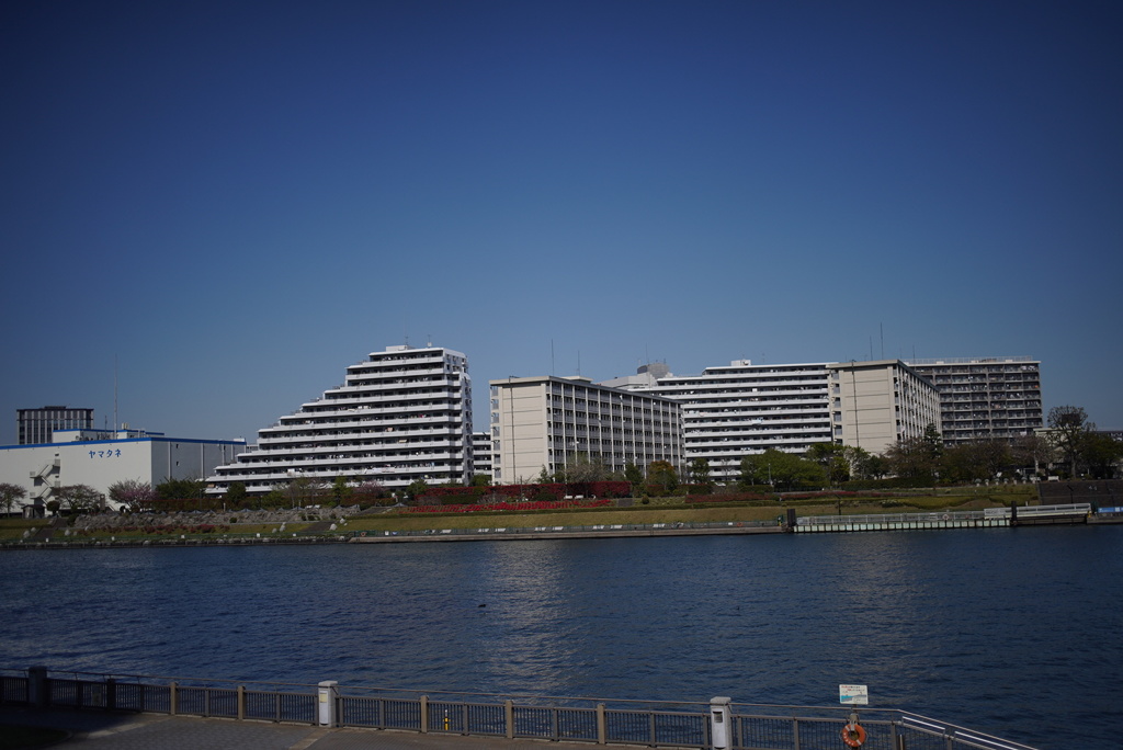 リバーサイドから見た対岸