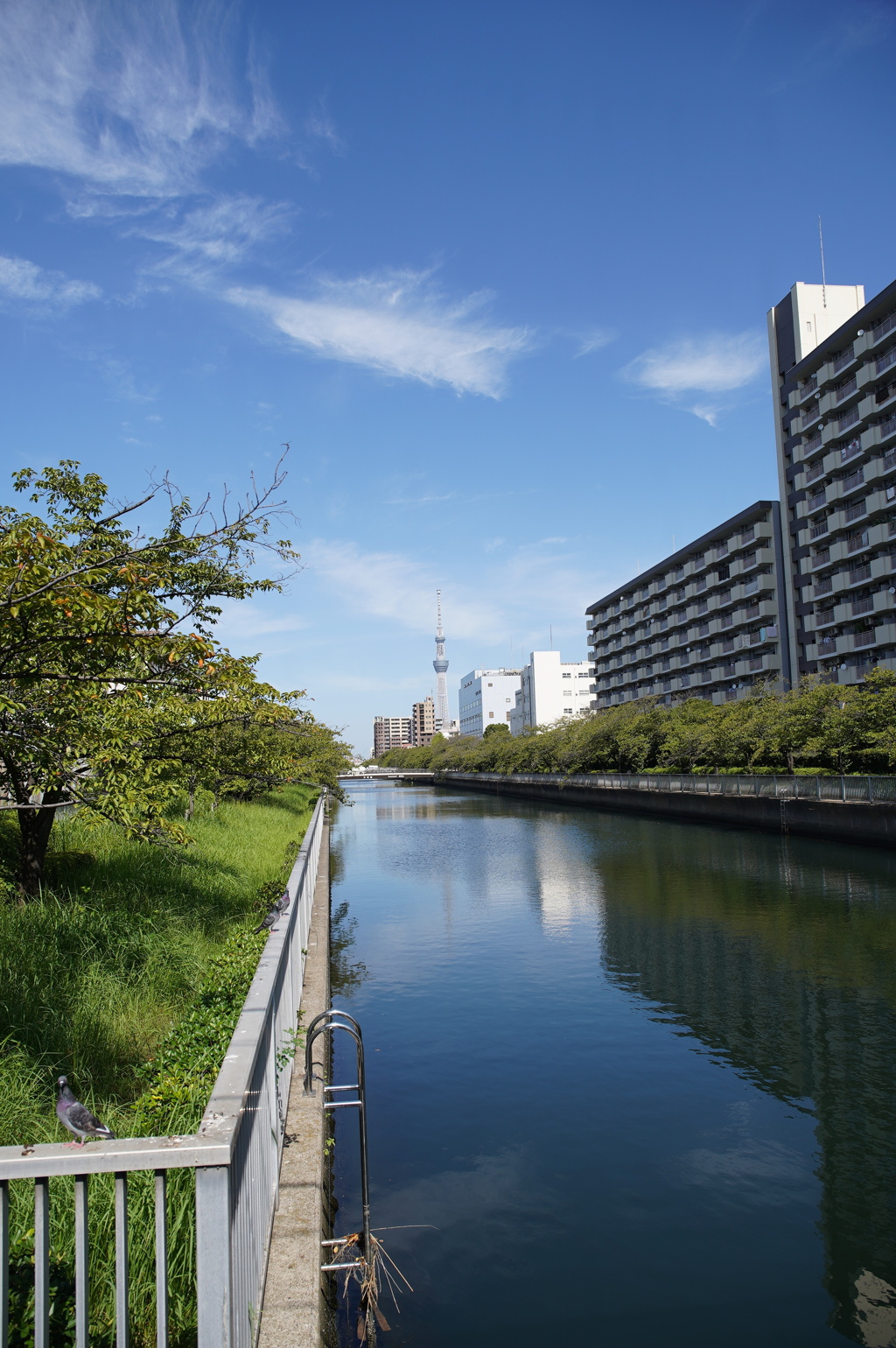 隅田川散策_大横川