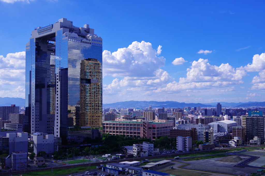 2020.夏景色