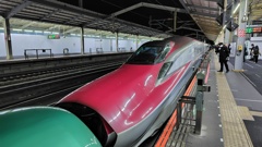 東北新幹線小山駅にて