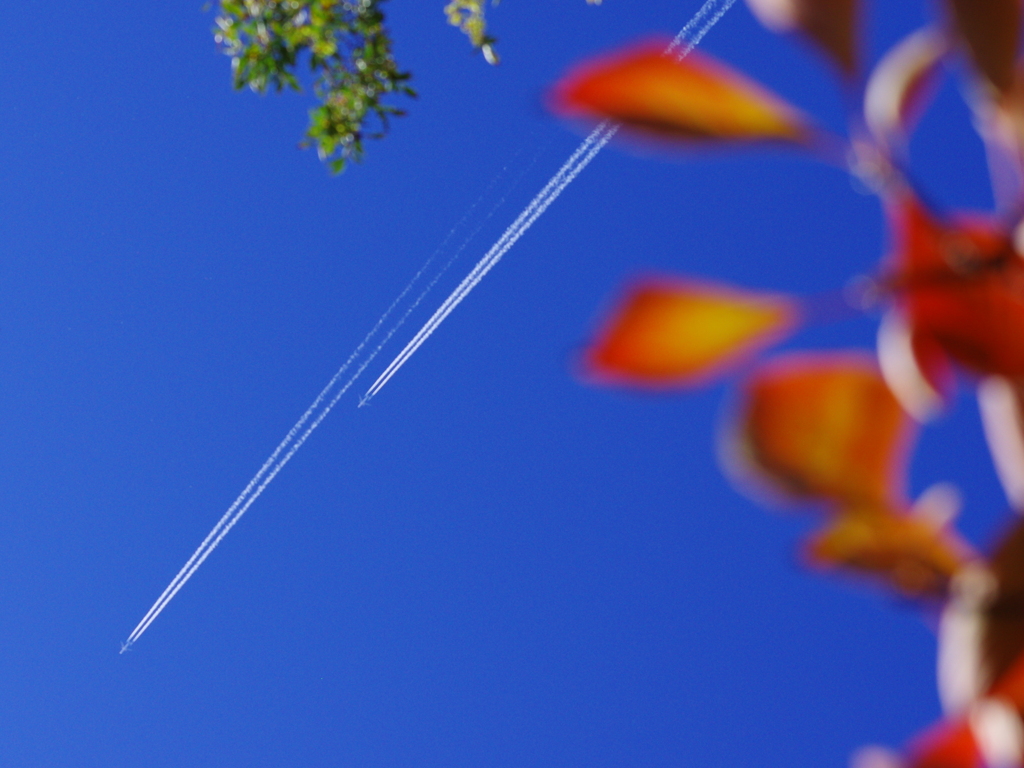 秋空と飛行機雲