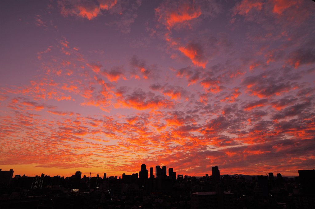夕景-2