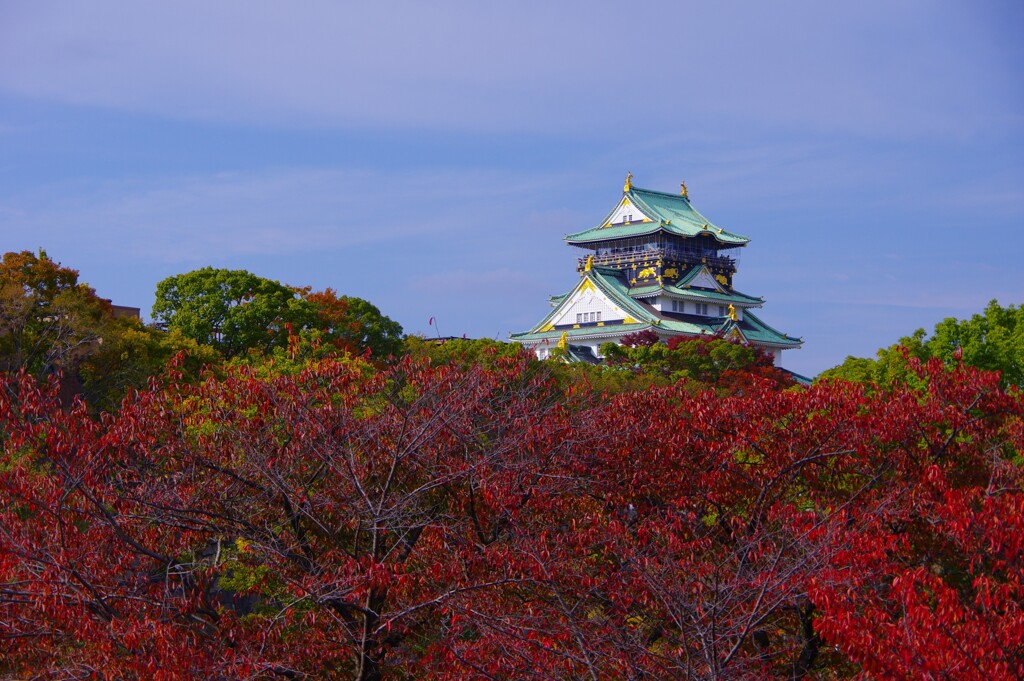 天守の秋模様