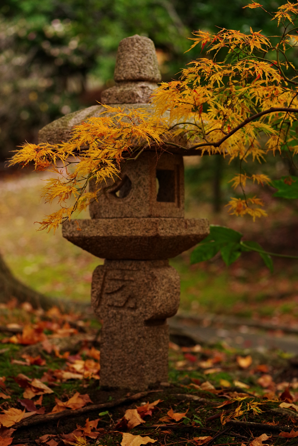 石灯籠の秋